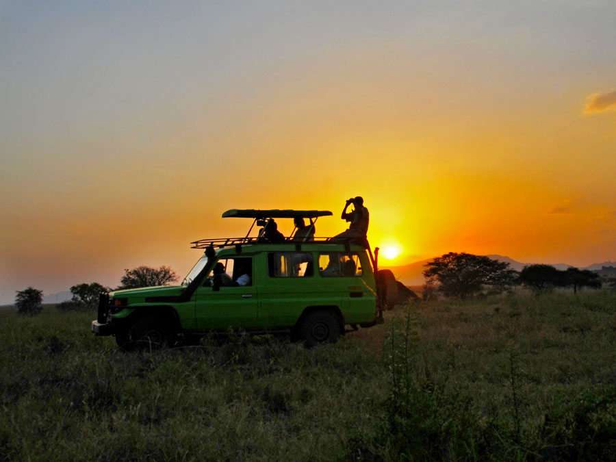 game-drives - About Uganda